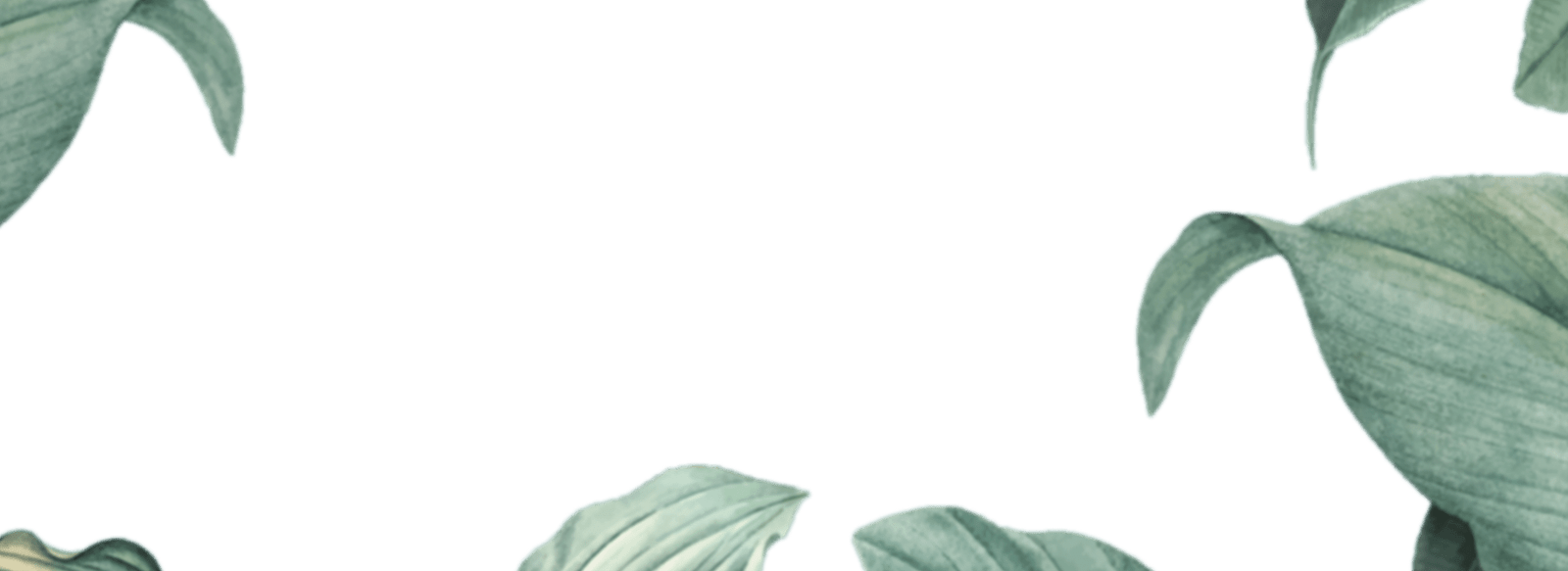 img-slider2.png